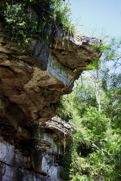 Outside of Amboni caves.  Nice first ascent potential in the limestone. (Category:  Travel)