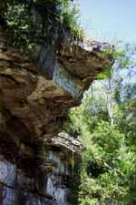 Outside of Amboni caves.  Nice first ascent potential in the limestone. (Category:  Travel)