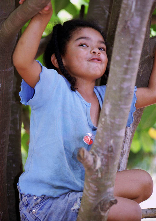 Sophia in a tree. (Category:  Travel)