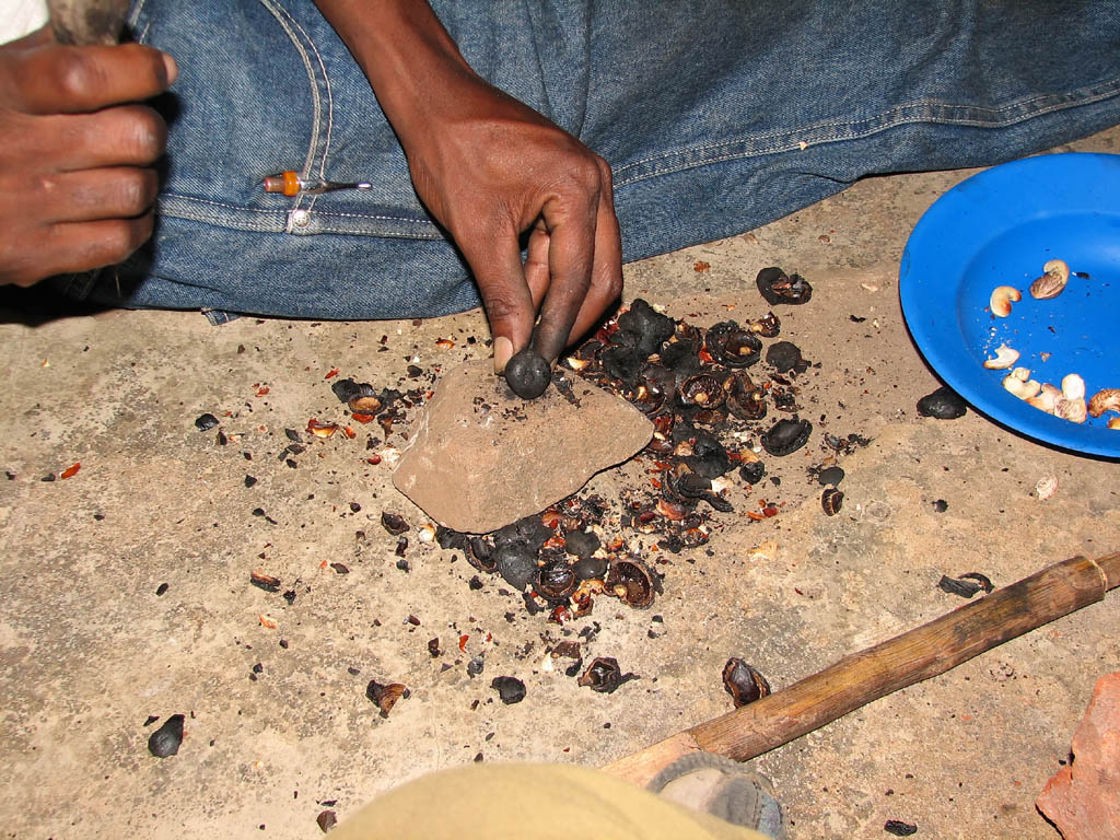 Shelling cashews. (Category:  Travel)