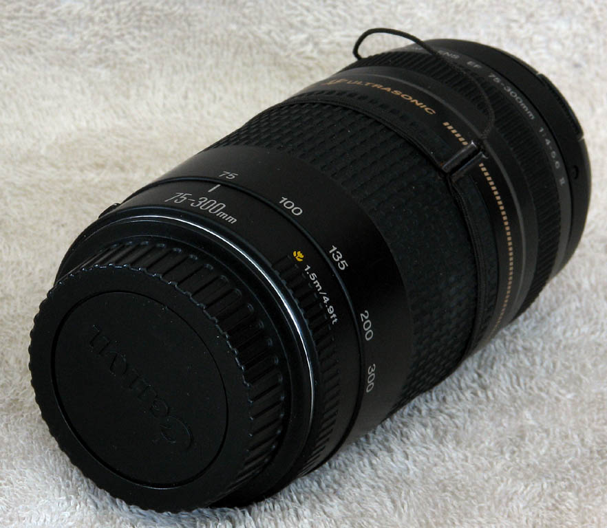 Canon 75-300 USM F4/5.6 (Category:  Photography)