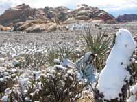 Snow on the valley floor. (Category:  Rock Climbing)