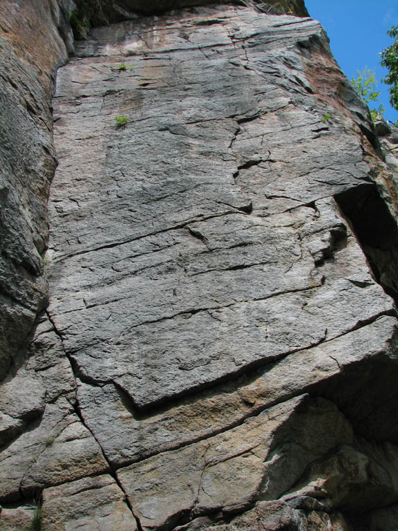 The first pitch of Birdland. (Category:  Rock Climbing)