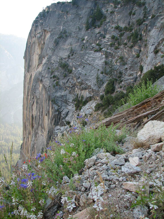 1100' tall Washington Column.  This is the east face.  We climbed the south face, part of which is visible on the far left. (Category:  Rock Climbing)