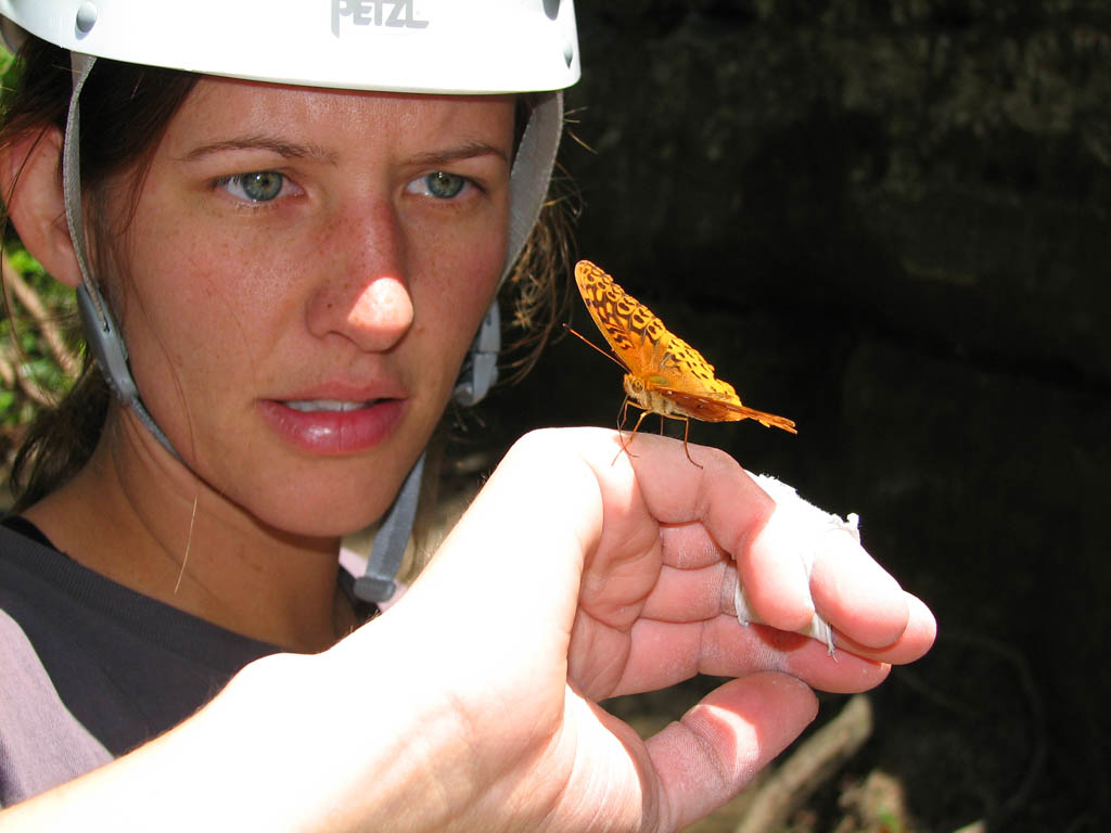 A very friendly butterfly. (Category:  Rock Climbing)