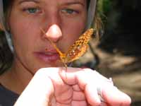 A very friendly butterfly. (Category:  Rock Climbing)