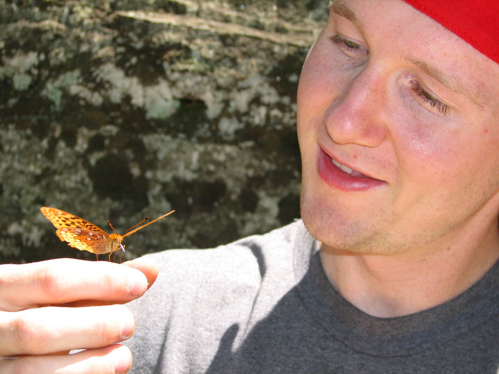 A very friendly butterfly. (Category:  Rock Climbing)