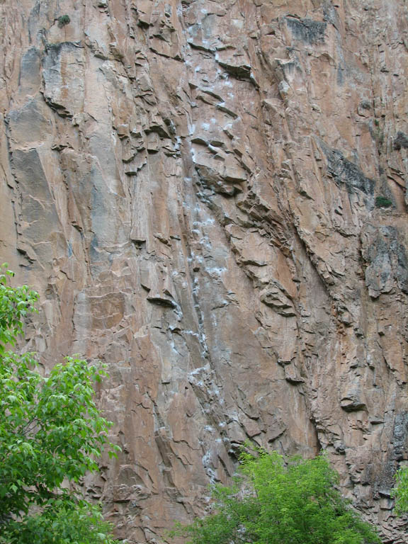 Feline (Category:  Rock Climbing)