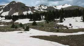 Panorama of the Roger's Pass Lake area. (Category:  Rock Climbing)
