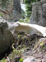 South Boulder Creek trail to Roger's Pass. (Category:  Rock Climbing)