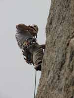 Ryan leading J Crack. (Category:  Rock Climbing)