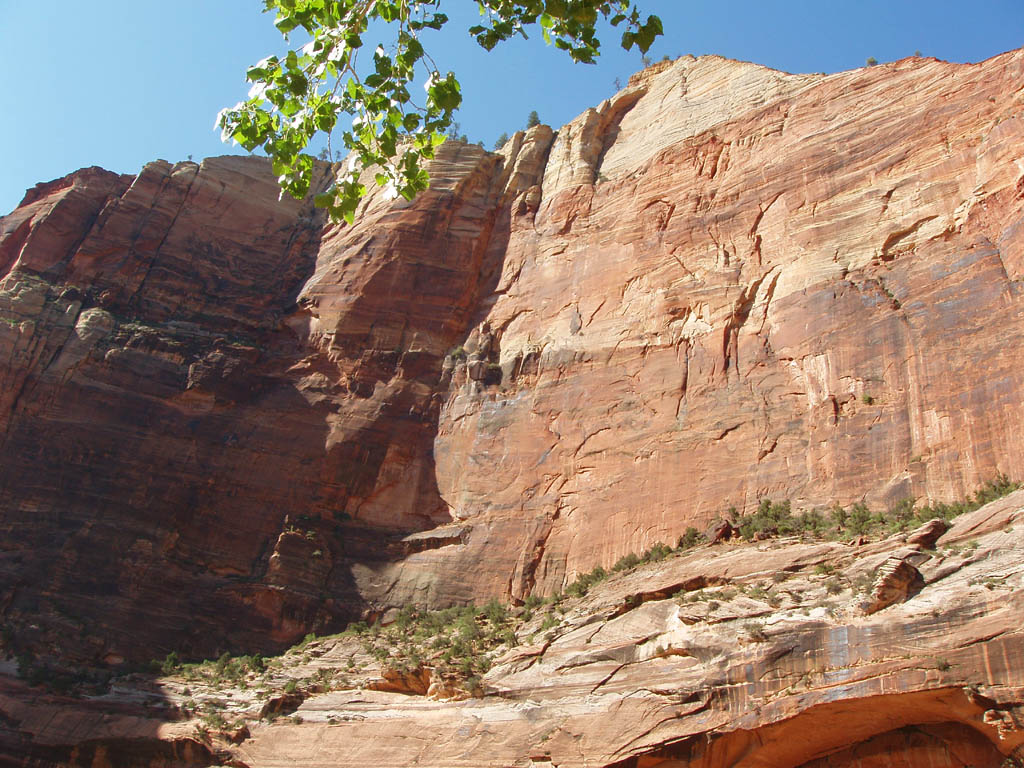 Big walls in Zion. (Category:  Rock Climbing)