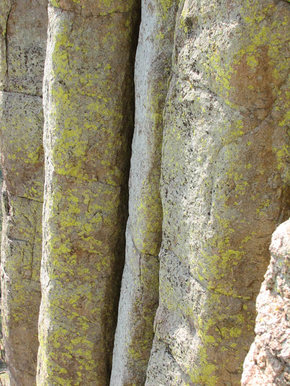 The vertical chimneys of Devil's Tower.  The tower is the hardened cone of an old volcano which has since eroded away. (Category:  Rock Climbing)