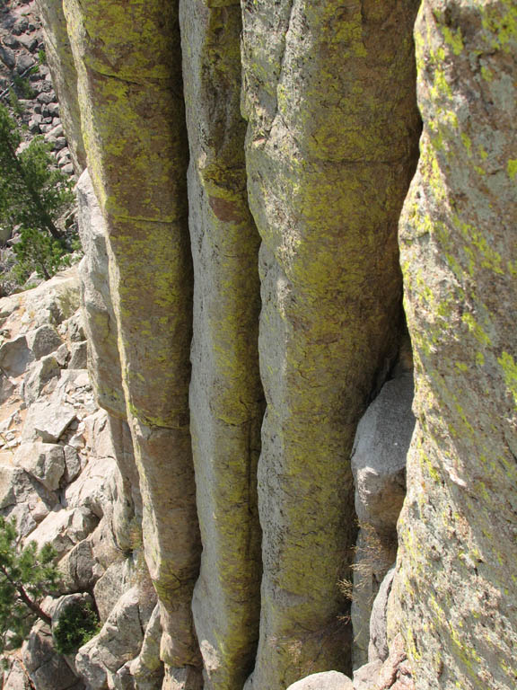 The vertical chimneys of Devil's Tower.  The tower is the hardened cone of an old volcano which has since eroded away. (Category:  Rock Climbing)