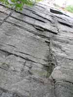 Wasp (Category:  Rock Climbing)