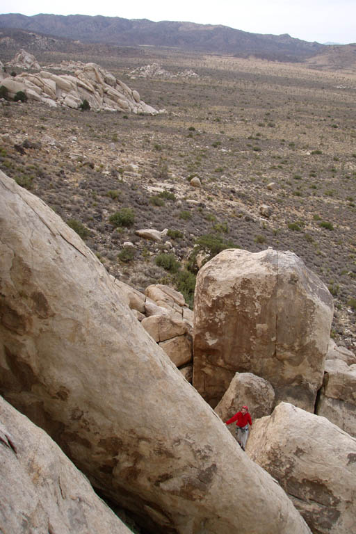 Leading The Kid, Saddle Rock.  Taken by Grant who was at the first belay of Walk on the Wild Side. (Category:  Rock Climbing)