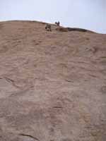 Aramy nearly at the first belay while Kristin prepares to belay me on the second pitch of Walk on the Wild Side. (Category:  Rock Climbing)