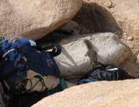 Aramy, I don't think leaving your food at the base of the climb was a good idea. (Category:  Rock Climbing)