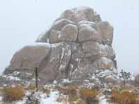 Intersection Rock covered in snow. (Category:  Rock Climbing)