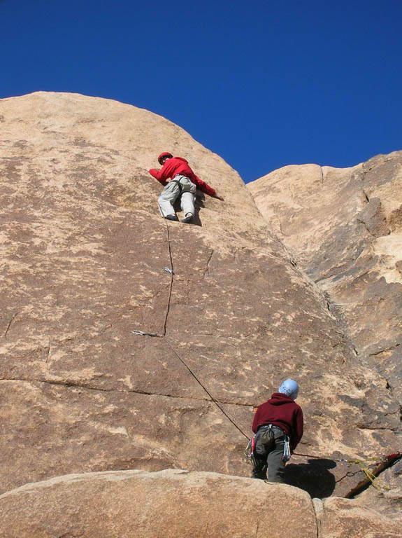 Leading Coyote in the Bushes, Feudal Wall. (Category:  Rock Climbing)