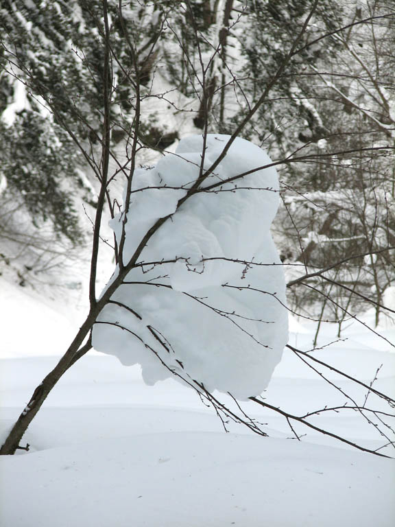 Winter wonderland. (Category:  Ice Climbing)