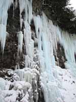 Mate, Spawn and Die (Category:  Ice Climbing)