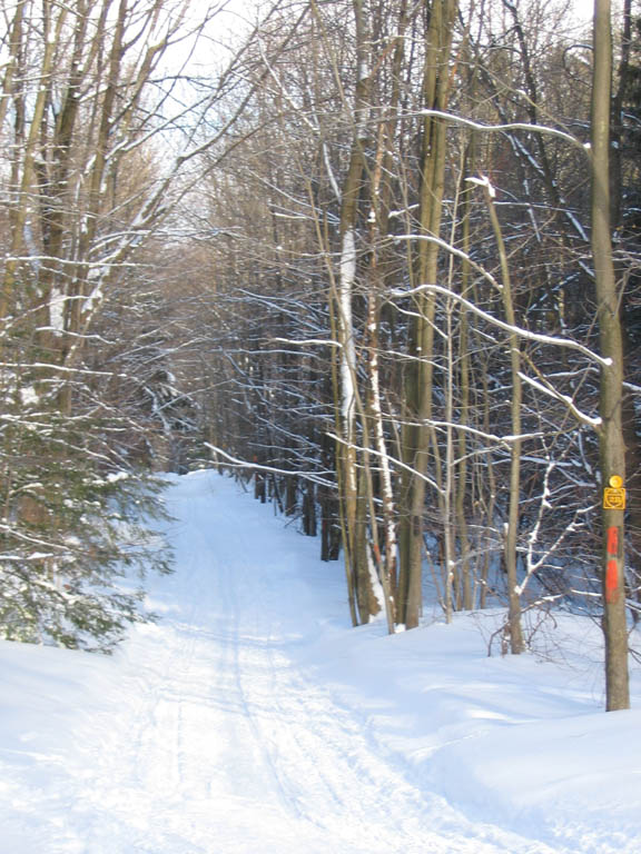 24+ XC, Spring 2007 (Category:  Skiing)