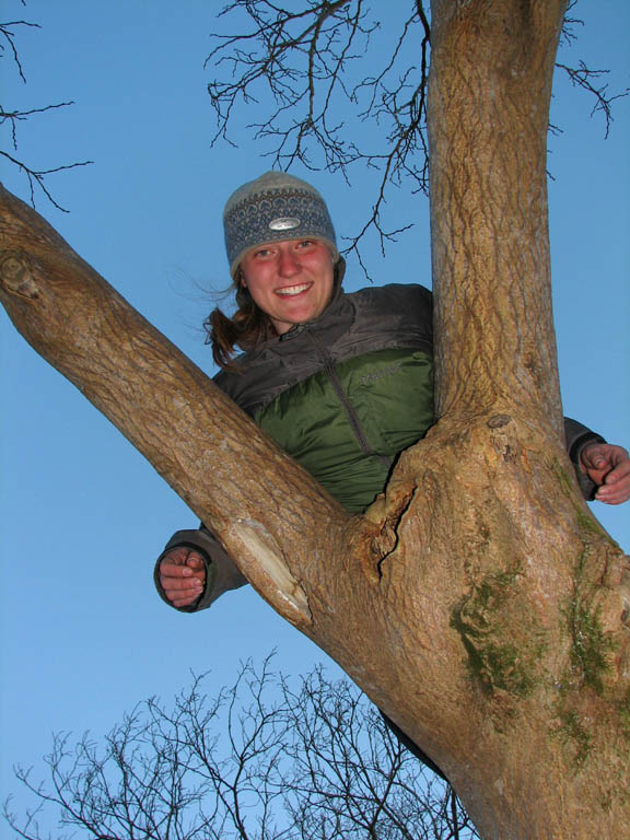 Anna in an interesting tree. (Category:  Rock Climbing)