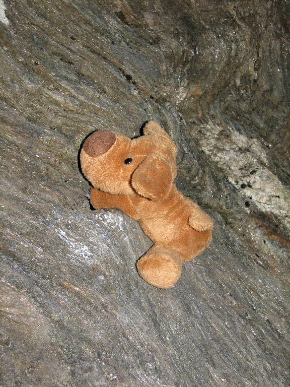 Brown Eyed Dog tried some bouldering. (Category:  Rock Climbing)