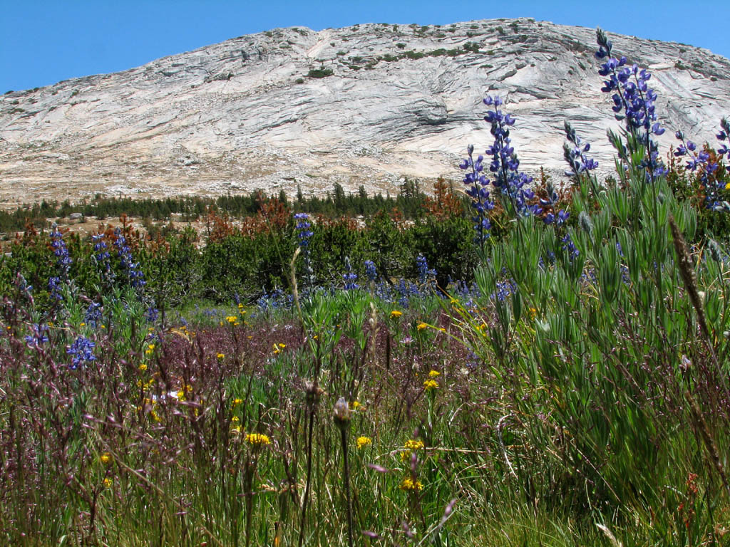 Hiking to Mt. Conness. (Category:  Rock Climbing)