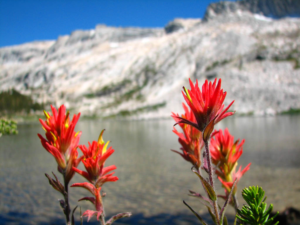 Young Lakes (Category:  Rock Climbing)