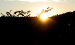 Sunrise (Category:  Rock Climbing)