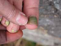 I won't say whose toes these are.  I'll only say I hope she doesn't kill me for displaying this picture. (Category:  Rock Climbing)