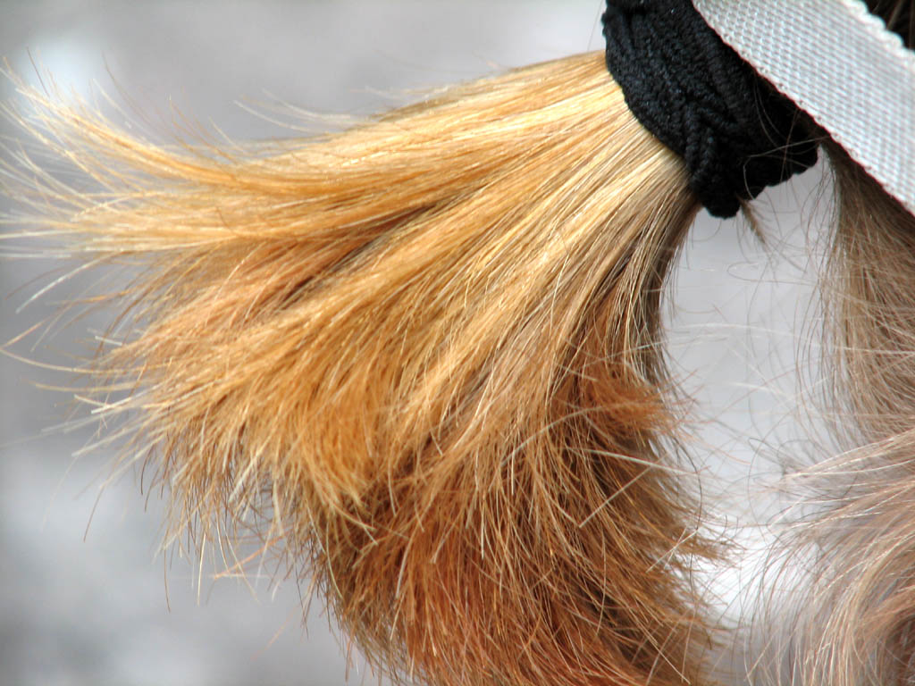 Pigtail! (Category:  Rock Climbing)