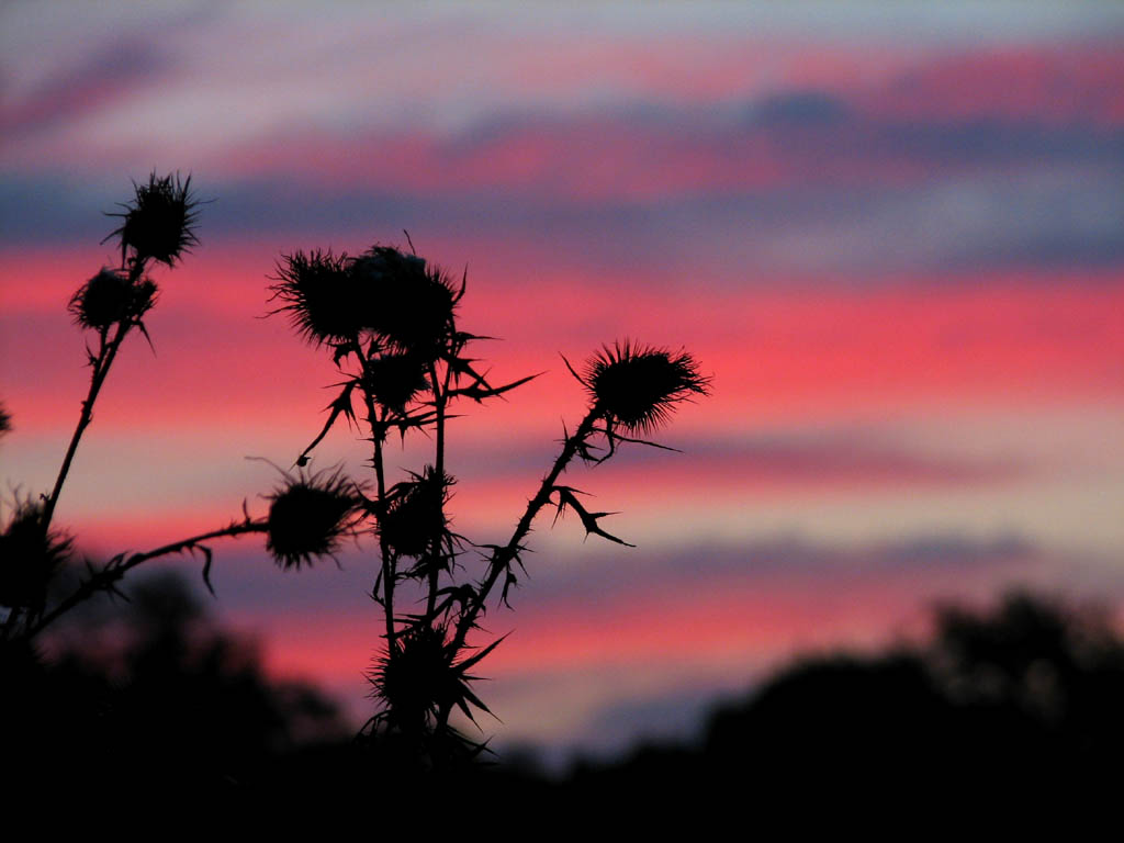 Sunrise at HCC. (Category:  Backpacking)