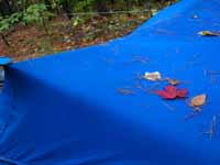 Tarp in the morning. (Category:  Backpacking)