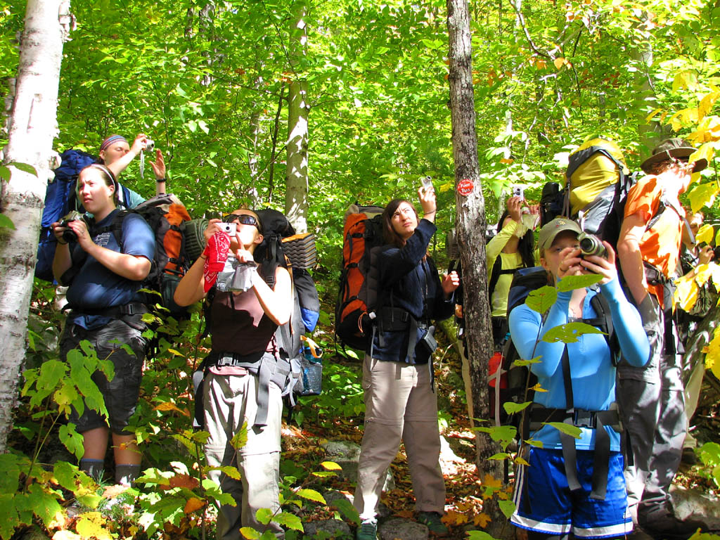 Lisa, Helle, Jessica, Agnes, Rachel, Jenny and Floris all taking pictures. (Category:  Backpacking)