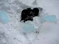 Keith's pack surrounded by deadly ice boulders. (Category:  Ice Climbing)