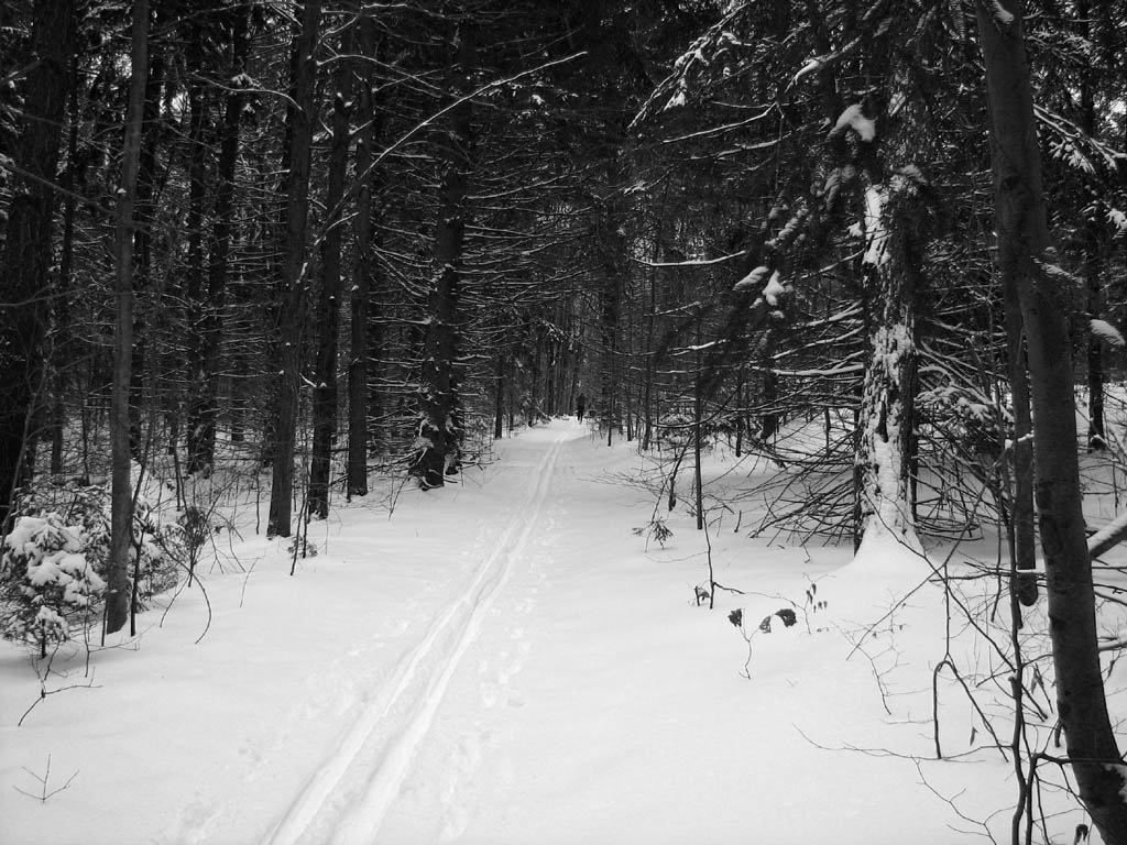 I rarely convert my photos to B&W, but I like the results here. (Category:  Skiing)