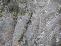 Beth climbing on Mini Super Wall.  Shot from Space Boyz. (Category:  Rock Climbing)