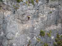 Aramy leading Muffin Man.  Shot from Space Boyz. (Category:  Rock Climbing)