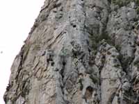 Leading pitch 7 (5.10c) of Space Boyz.  Shot from Mini Super Wall. (Category:  Rock Climbing)