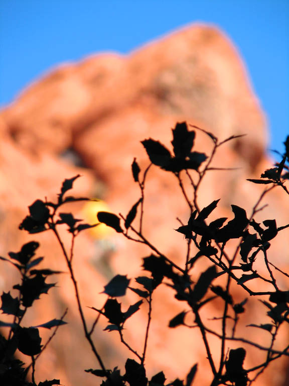 Beautiful Red Rock Canyon (Category:  Rock Climbing)