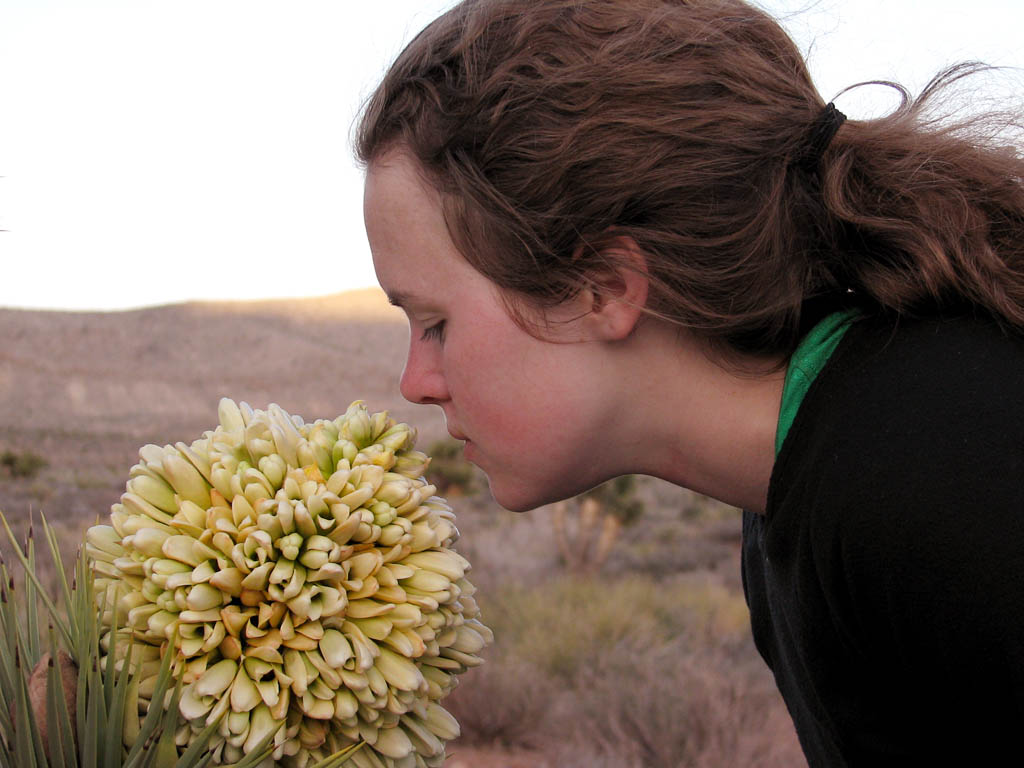 Katie experiencing a Joshua Tree blossom. (Category:  Rock Climbing)