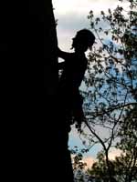 Guy leading Disneyland. (Category:  Rock Climbing)