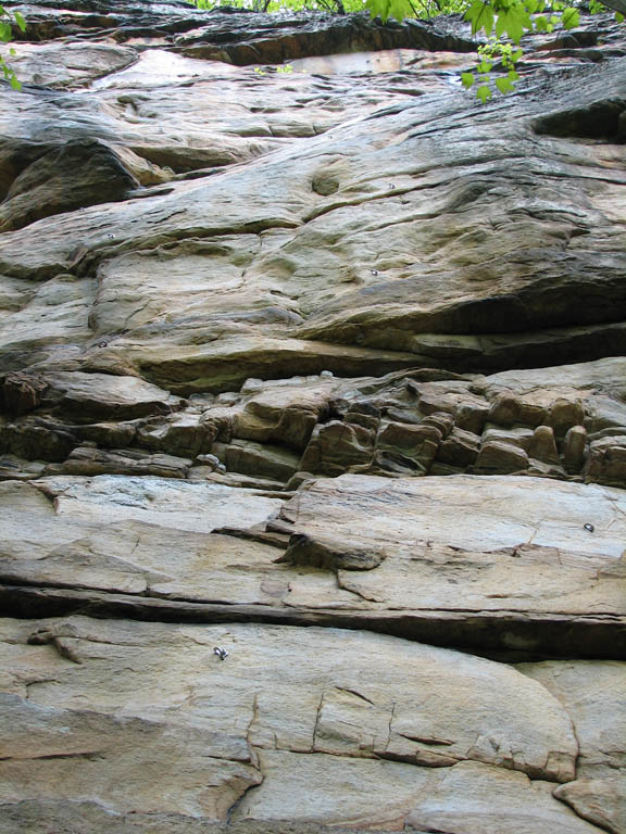 G-String on the left, Clean Shaved in the center. (Category:  Rock Climbing)