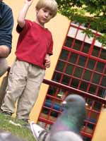 Feeding the pigeons on Granville Island. (Category:  Rock Climbing)