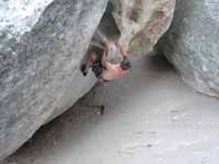 Guy bouldering at the base of Elephant Rock. (Category:  Rock Climbing)