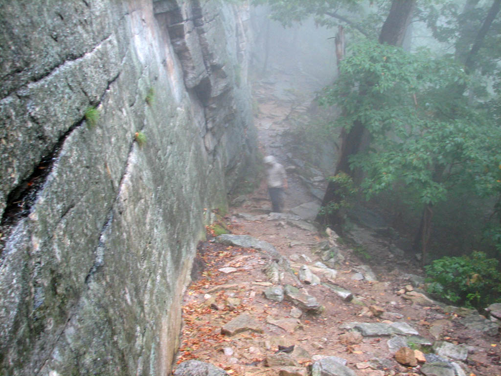 Hiking in the rain I was lucky to get a quick shot of this mysterious vertebrate.  Checking my field guide, I (Category:  Rock Climbing)