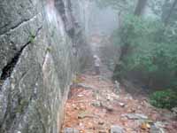 Hiking in the rain I was lucky to get a quick shot of this mysterious vertebrate.  Checking my field guide, I (Category:  Rock Climbing)